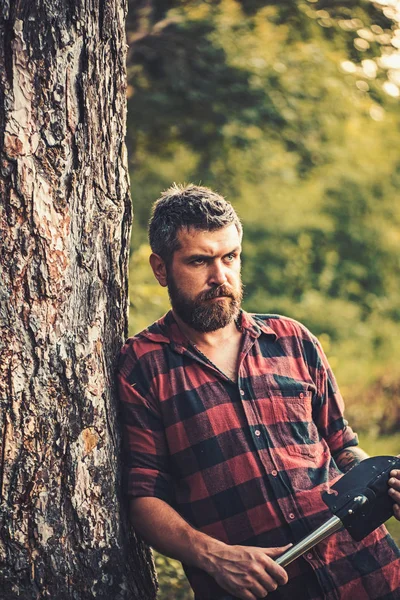 Turista en camisa a cuadros relajarse con pala. Hombre de turismo en el bosque de verano — Foto de Stock