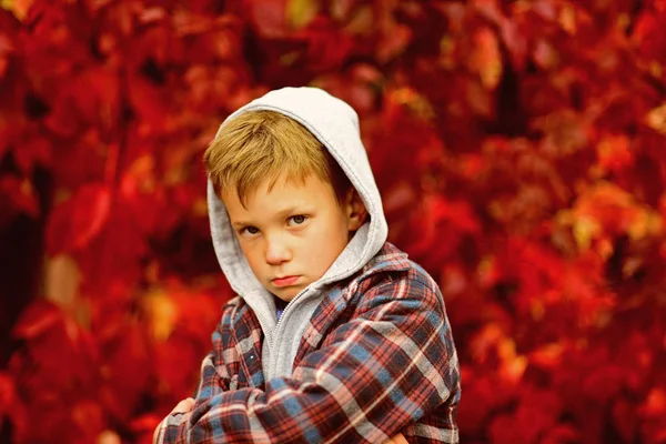 Een beetje boos. Boos jongen. Kleine jongen voelen verdrietig over herfstdag. Ongelukkig kindje. Wordt boos en teleurgesteld — Stockfoto