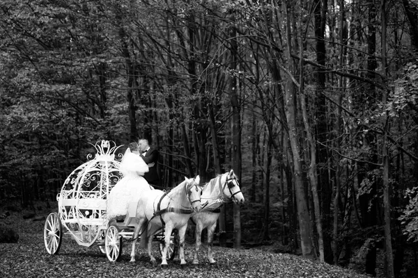 Hochzeitspaar in Kutsche — Stockfoto