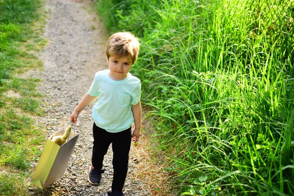 Criança feliz na natureza florescente. Criança na floresta verde. Criança pequena com brinquedo no saco de compras. Verão. Felicidade infantil. Dia das crianças. Férias. Tempo ensolarado. Vem comigo. — Fotografia de Stock