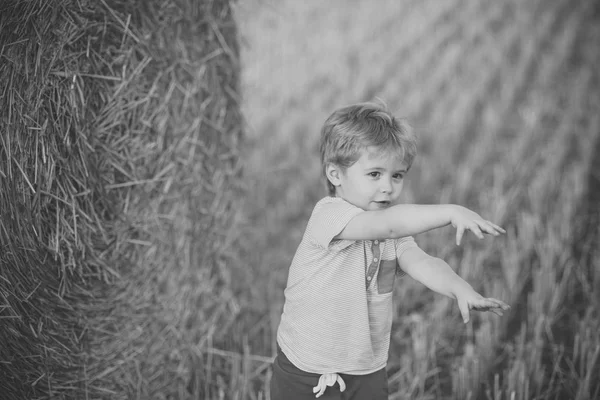 Boy at hay bale, summer — Stock Photo, Image