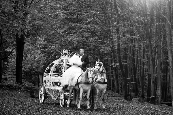 Casamento casal em carruagem — Fotografia de Stock