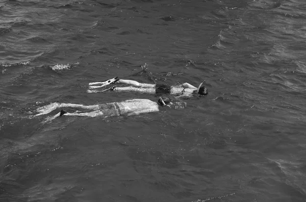 Jeune couple de nageurs plongée en apnée en mer — Photo