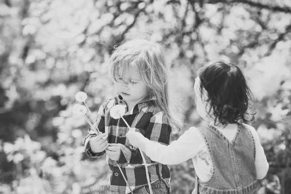 Girl give dandelion flower for boy — Stock Photo, Image