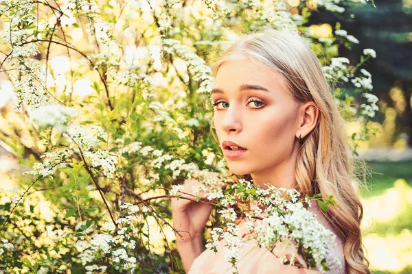 Dívka na tváři zasněný, nabídka blondýna poblíž větve s bílými květy, příroda pozadí. Lady procházky v parku na slunný jarní den. Jarní květ koncept. Mladá žena si květiny v zahradě. — Stock fotografie