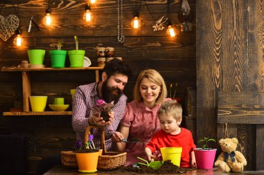 Father and son with mother. happy gardeners with spring flowers. Flower care watering. Soil fertilizers. woman, man and little boy child love nature. Family day. Greenhouse. Family business clipart
