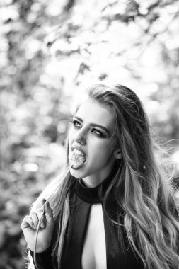 Karahindiba güzel kadınla