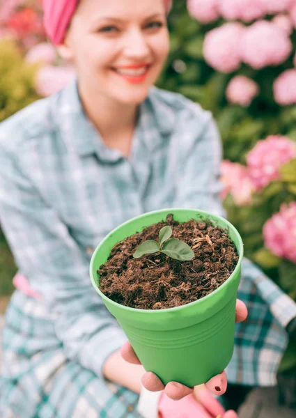 Hortensien. Frühling und Sommer. Gewächshausblumen. Frau pflegt Blumen im Garten. glückliche Gärtnerin mit Blumen. Blumenpflege und Bewässerung. Böden und Dünger. Nimm dir Blumen — Stockfoto