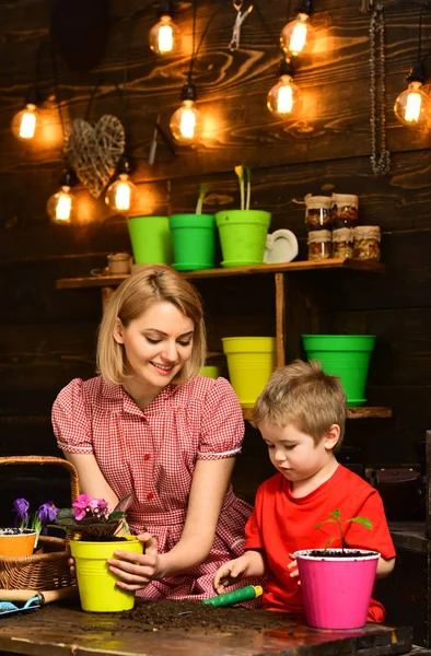 Landscaping concept. Woman and little boy replanting flower in new pot, landscaping. Indoor landscaping. Home landscaping and gardening — Stok fotoğraf