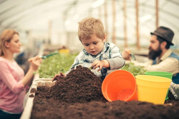 Little farmer. little farmer work with soil. little farmer in greenhouse. little farmer child planting flowers. — ストック写真