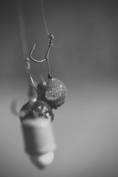 Aparato de anzuelos para la pesca, la pesca con caña, la captura de peces, la pesca con carpa — Foto de Stock