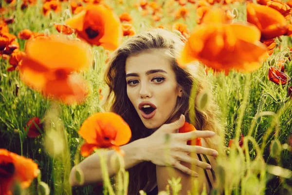 Mulher ou menina feliz no campo da semente de papoula — Fotografia de Stock