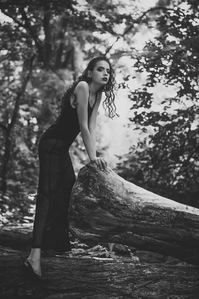 Modelo de moda con look glamour, vacaciones de verano. La mujer en el vestido a la moda posan sobre el tronco del árbol, la moda. Mujer con maquillaje y pelo rizado largo en la naturaleza, mira. Belleza chica en el bosque, frescura — Foto de Stock