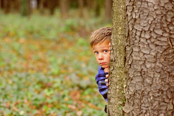 Each day holds a surprise. Small boy hide behind tree. Small boy playing peekaboo game in forest. What a surprise Stock Image