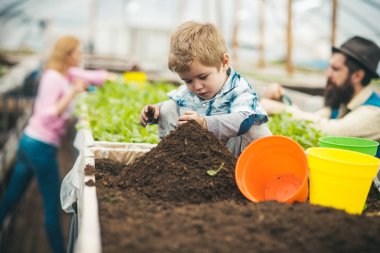 toprak hazırlanıyor. dikim için toprak hazırlayan küçük çocuk. toprak hazırlama konsepti. genç bahçıvan ailesinin toprak hazırlanması. Bahçıvan.