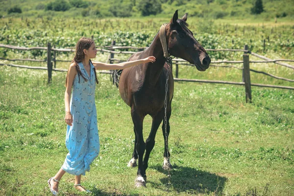 Ihr Treuester Freund Hübsches Mädchen Auf Der Pferderanch Entzückende Pferdebesitzerin — Stockfoto