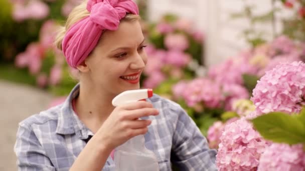 Mujeres regando flores. Hermosas flores rosas. Las mujeres cuidan las flores. Flores de primavera. Mujeres felices en el jardín . — Vídeos de Stock