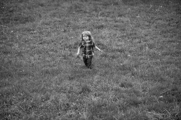 푸른 잔디에 작은 소년 — 스톡 사진