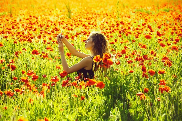 Kvinna i fältet av vallmo gör selfie foto med telefon — Stockfoto