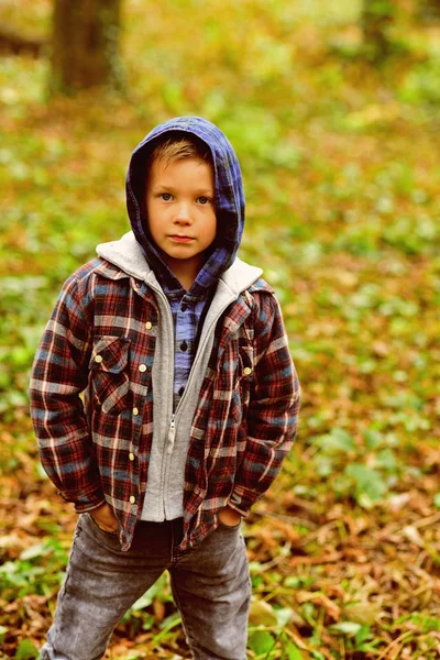 Early fall. Small boy in fall. Small child in casual outfit outdoor. Adorable boy in hoodie, fall fashion. Fall is my favorite season — Stock Photo, Image