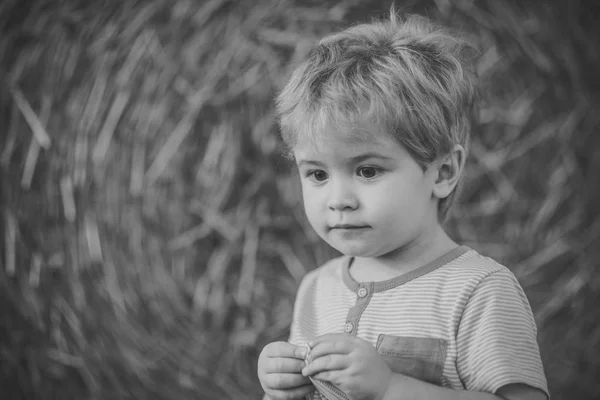 Мальчик играет на ферме или ранчо поле, отпуск — стоковое фото