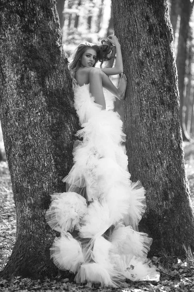 Mujer bastante glamurosa en el bosque — Foto de Stock