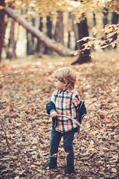 Menino jogar no ar fresco ao ar livre. Menino na floresta de outono — Fotografia de Stock