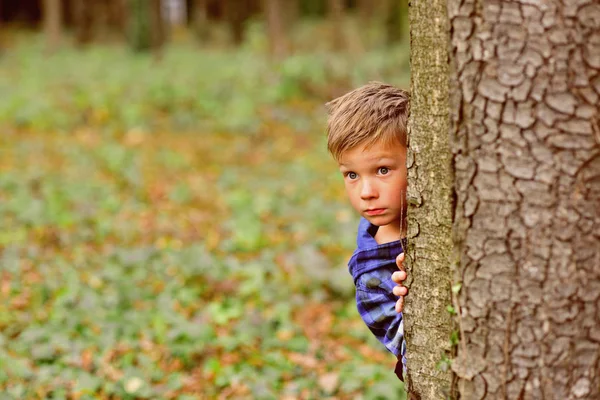 Its a little scary. Little boy hide behind tree. Small boy in scary forest. Little child play scary games. I like being scared Stock Photo