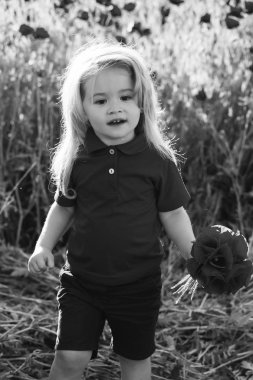 sıcak yaz aylarında haşhaş sahada şirin küçük çocuk