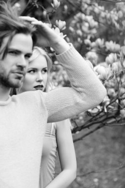 bahar bahçe çiçek açan Manolya, aşık Romantik Çift