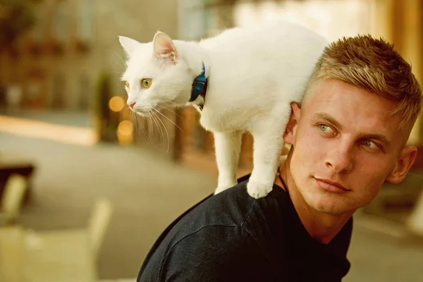 와일드 하 고 동시에 국내. 마이클 Showalter입니다. 근육 질 남자 귀여운 혈통 고양이 잡아. 고양이 그의 소유자의 뒤에 서 있다. 근육 얼굴로 행복 한 고양이 소유자. 애완 동물 고양이 함께 산책에 행복 한 사람 — 스톡 사진