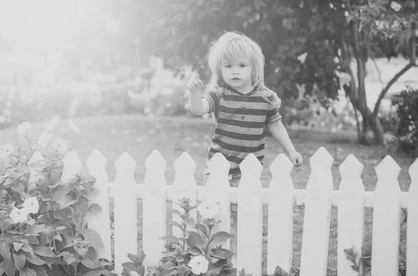 Kicsi fiú gyermek nyitott fehér fából készült kerítés közelében — Stock Fotó
