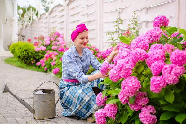 Гортензія. Весна і літо. Догляд за квітами та полив. ґрунти та добрива. жінка доглядає за квітами в саду. щаслива жінка садівник з квітами. Тепличні квіти. Робота з рослинами — стокове фото
