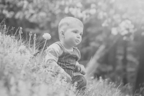 Barn i parken med blommande maskros blommor och träd — Stockfoto