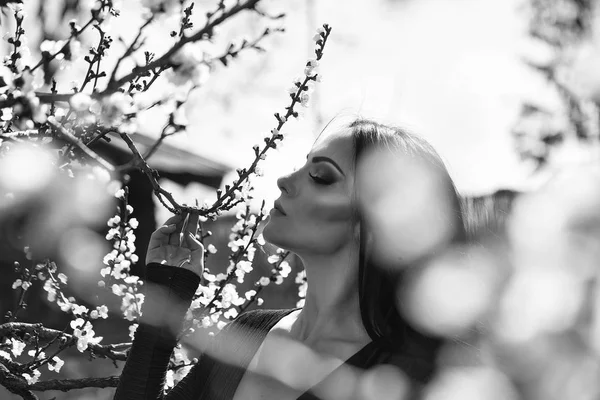 Mulher com damasco florescendo — Fotografia de Stock