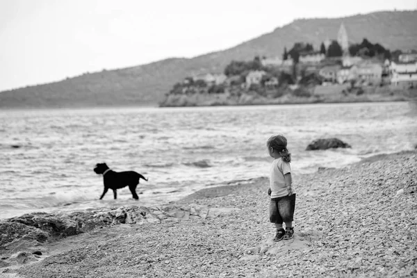 Bébé garçon joue avec chien — Photo