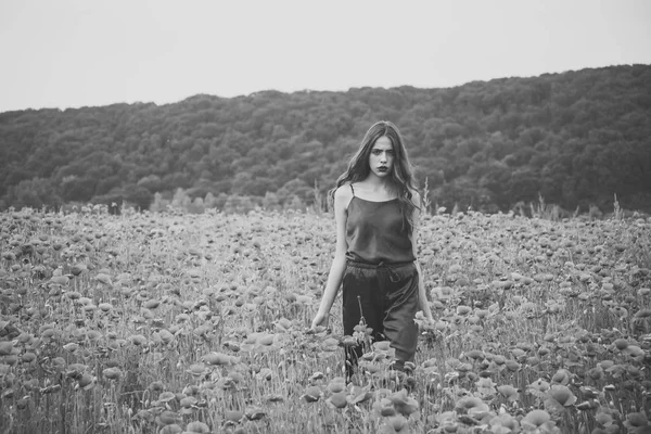 Mujer en campo de flores de amapola, cosecha . — Foto de Stock