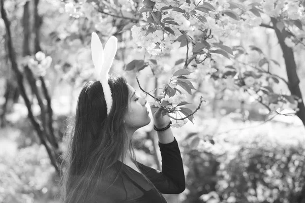 Girl with rosy bunny ears smelling sakura flowers from tree — Stock Photo, Image