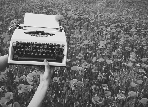 Journalist on the meadow preparing for his next article — Stock Photo, Image