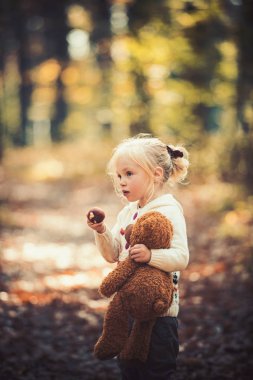 Oyuncak ayı güzel sonbahar gününde açık ile çok güzel bebek kız
