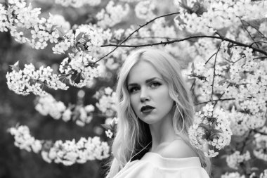 Şu yeni gelişen ağaç bahar, beyaz çiçekler ve güzel bir kadın ile kiraz