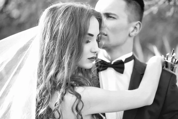 Wedding embracing couple — Stock Photo, Image