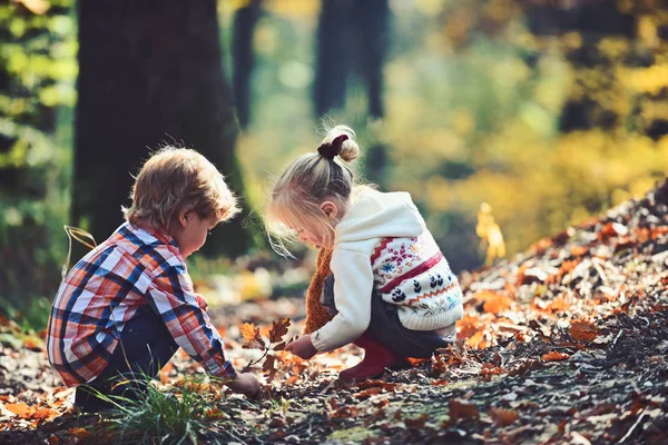 Enfance et amitié d'enfant. Les enfants cueillent les glands des chênes. Frère et sœur campant dans la forêt d'automne. Petits amis garçons et filles s'amusent à l'air frais. Activité des enfants et repos actif — Photo