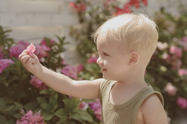 Felicidade de verão. Flores da Primavera. Infância. Dia das crianças. Menino pequeno. Novo conceito de vida. Férias. Verão. Dia das mães ou das mulheres. Menino em flor florescendo — Fotografia de Stock