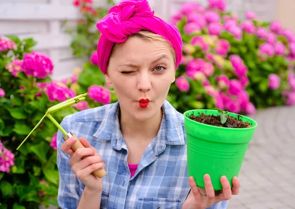 Hortensien. Frühlingssommer. Blumenpflege und Bewässerung. Böden und Dünger. Gewächshausblumen. Frau pflegt Blumen im Garten. glückliche Gärtnerin mit Blumen. Positive Floristen halten Blumentopf — Stockfoto