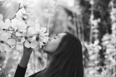 ağaç pembe, çiçek açması, Manolya çiçek kokulu kız