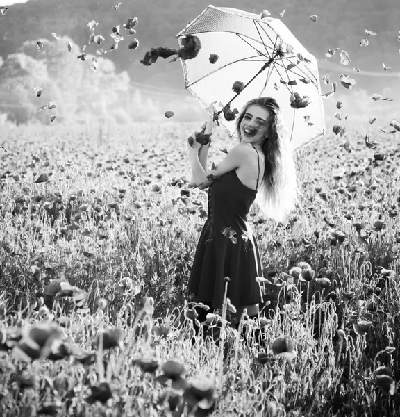 Дівчина в полі макового насіння з парасолькою — стокове фото
