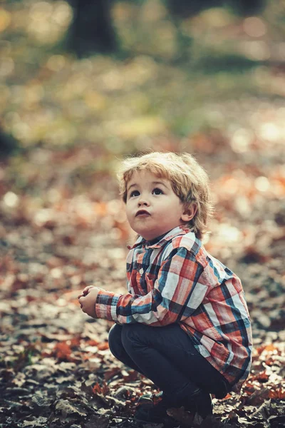Niño activo jugar en el bosque de otoño. El descanso activo al aire libre para el chiquitín —  Fotos de Stock