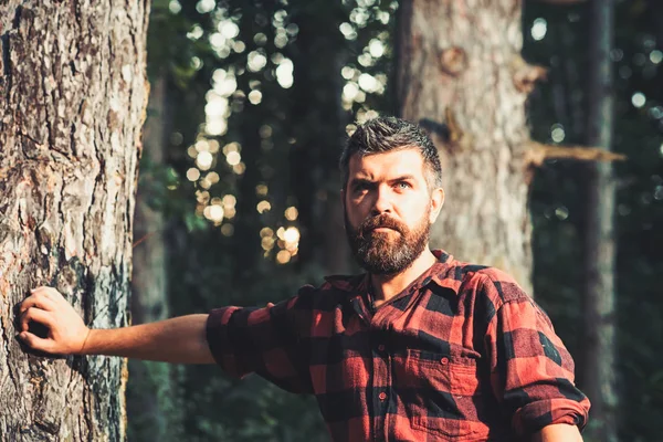 Hombre relajante soñando bajo el árbol, disfrutando de un día cálido — Foto de Stock