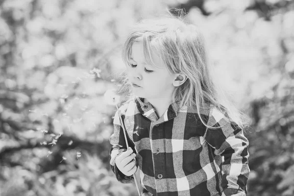 Criança soprar dente-de-leão no parque de primavera ou verão — Fotografia de Stock